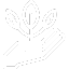 Holistic Growth Agency Kolkata