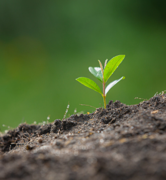 Contact Growth Atom for any Growth Strategy consulting | Best Marketing Agency in Kolkata, India
